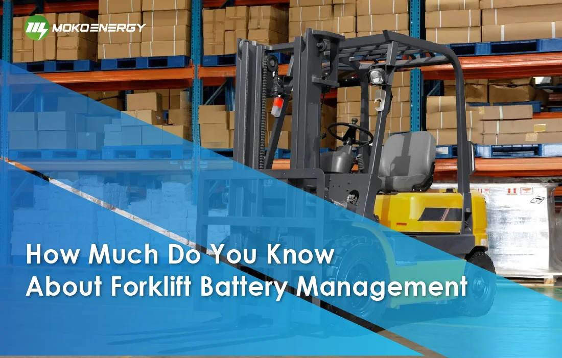 How much do you know about forklift battery management